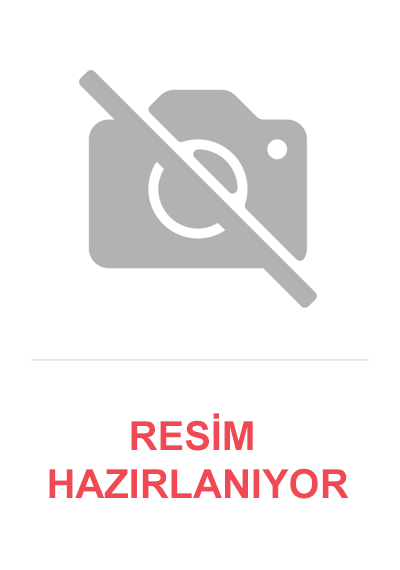 Dorian Gray’İn Portresi (Karton Klasikler)