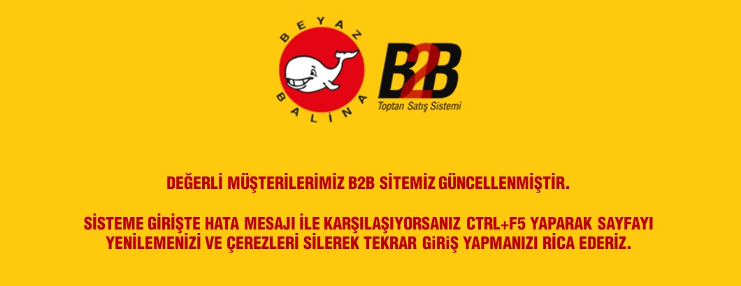 B2B Site Güncellemesi