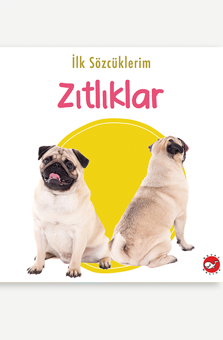 İlk Sözcüklerim - Zıtlıklar