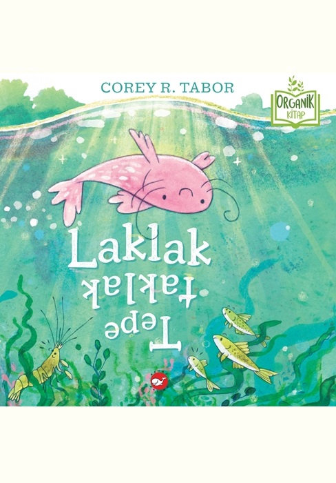 Laklak Tepetaklak (Organik)