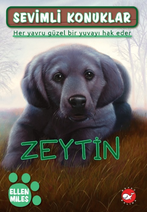 Sevimli Konuklar 3 - Zeytin