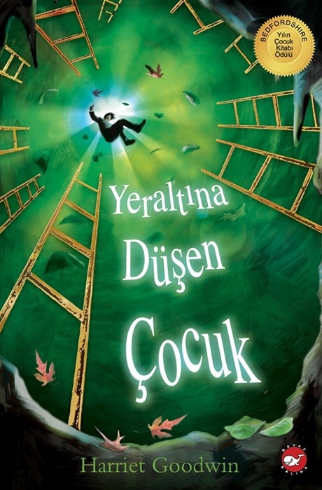 Yeraltına Düşen Çocuk